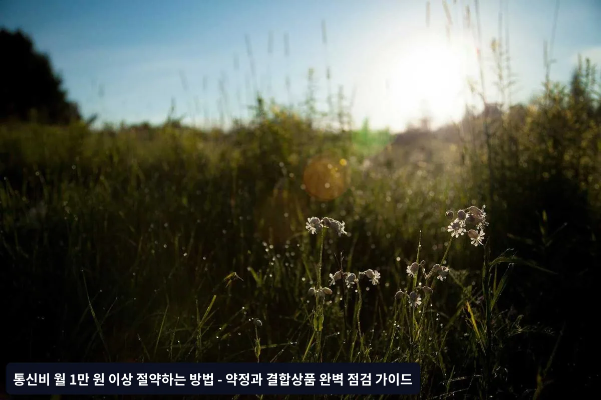 단계별 통신비 절약 실행 가이드