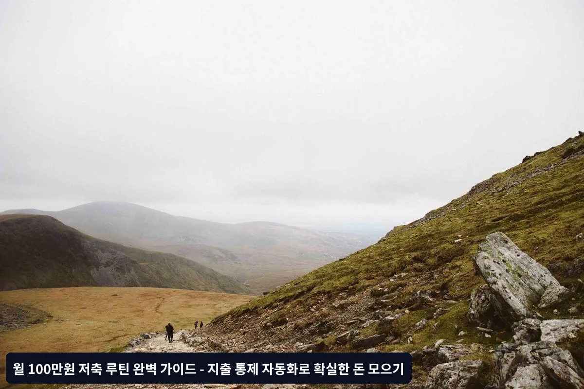 카드 한도 설정으로 강제 통제