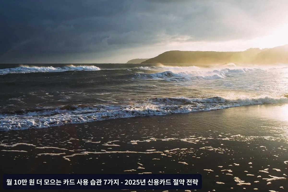 주유·교통비 절약 카드 전략