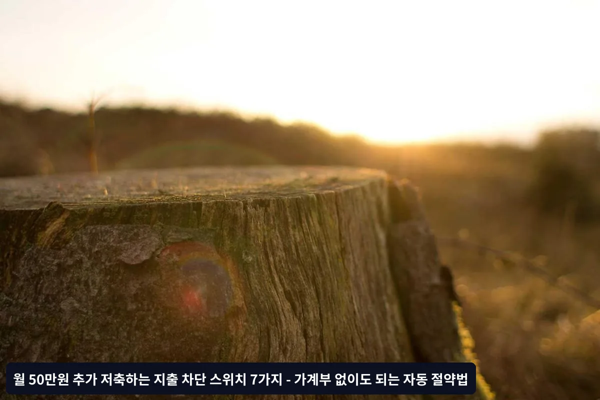 왜 기존 절약법은 실패하는가?