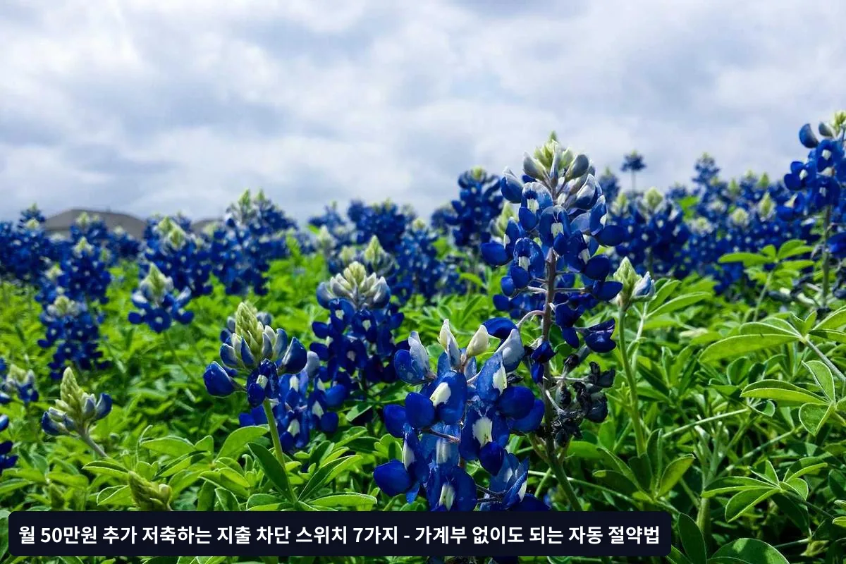 지출 차단 스위치 실행 가이드