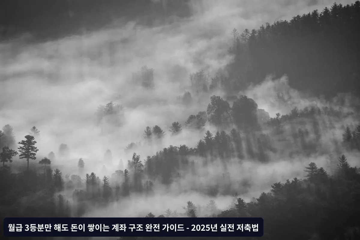 자주 묻는 질문 (FAQ)