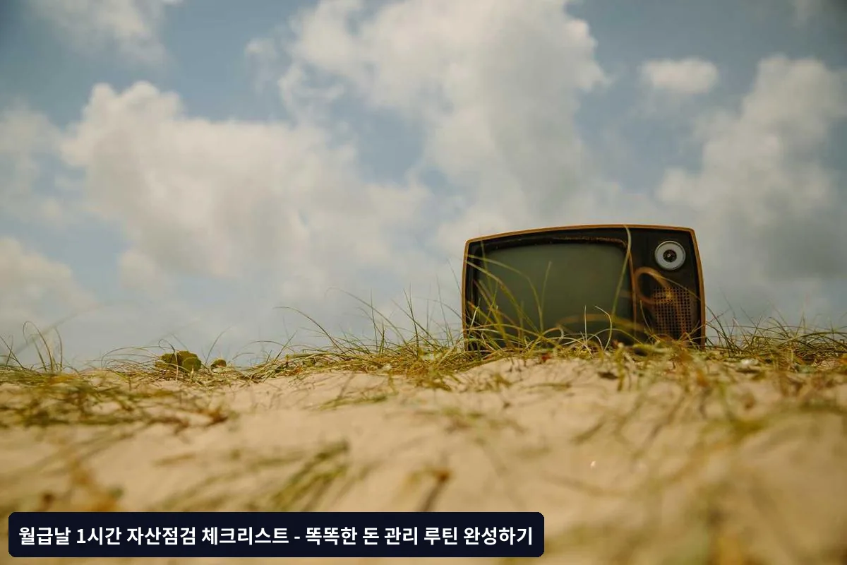 월급날 1시간 자산점검 완벽 체크리스트
