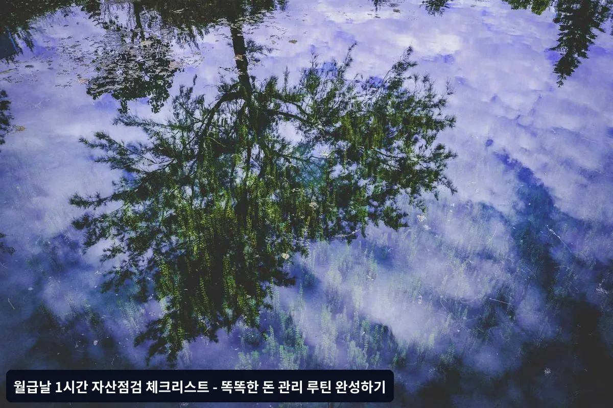 자주 묻는 질문 (FAQ)