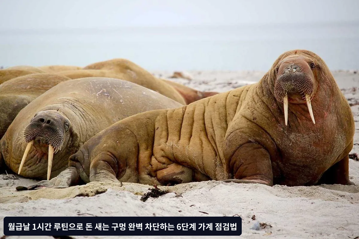 자주하는 실수와 해결책