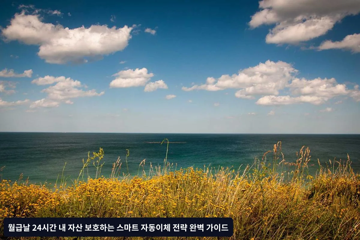 투자 통장 활용 전략