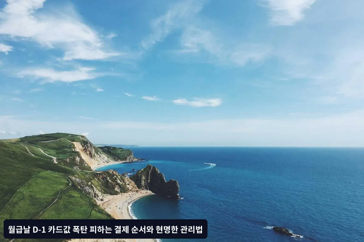 월급날 D-1 계좌 관리 전략