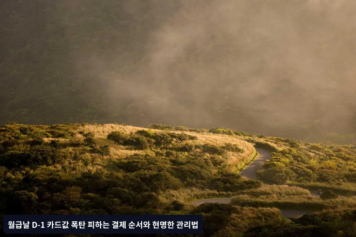 카드값 폭탄 예방을 위한 장기 전략