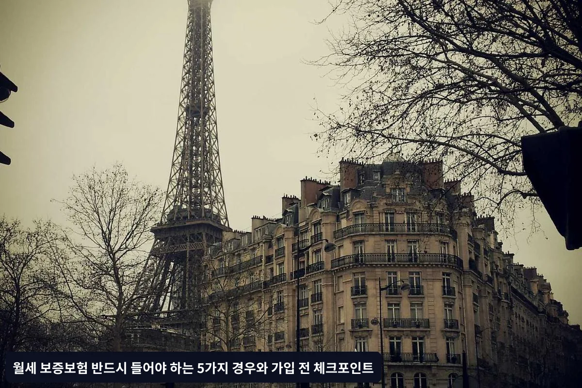보장 범위 확인