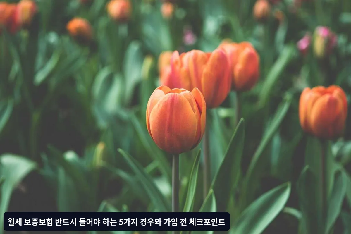 빠른 보험금 수령을 위한 팁