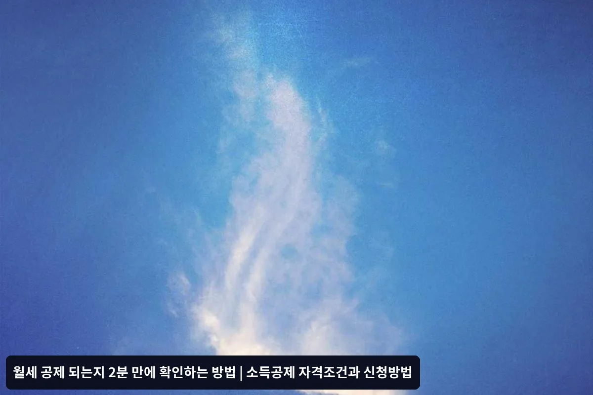 놓치기 쉬운 주의사항