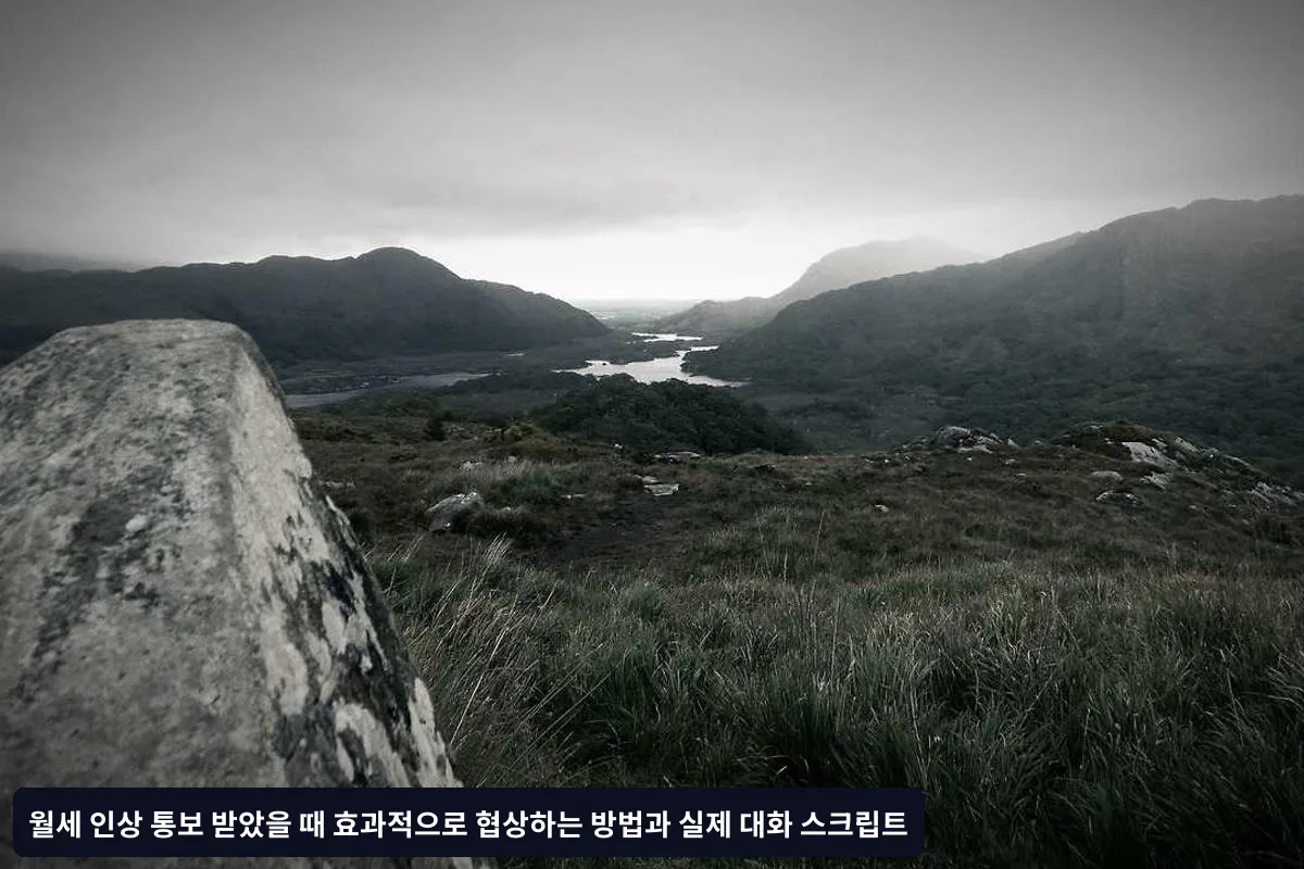 인상률이 과도할 때 사용하는 스크립트