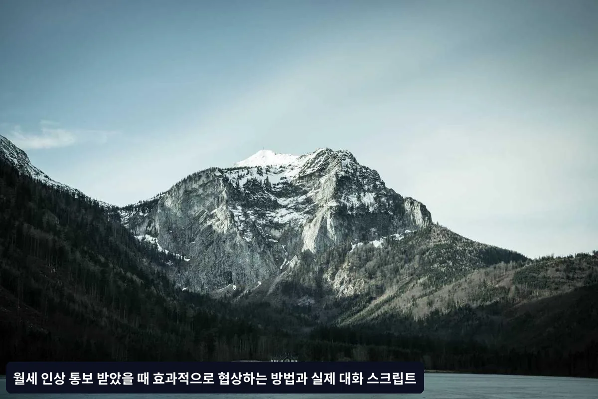3. 장기 계약 제안