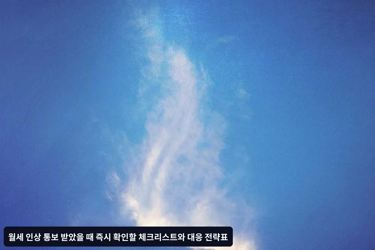 지역별 월세 인상 제한 특별 규정