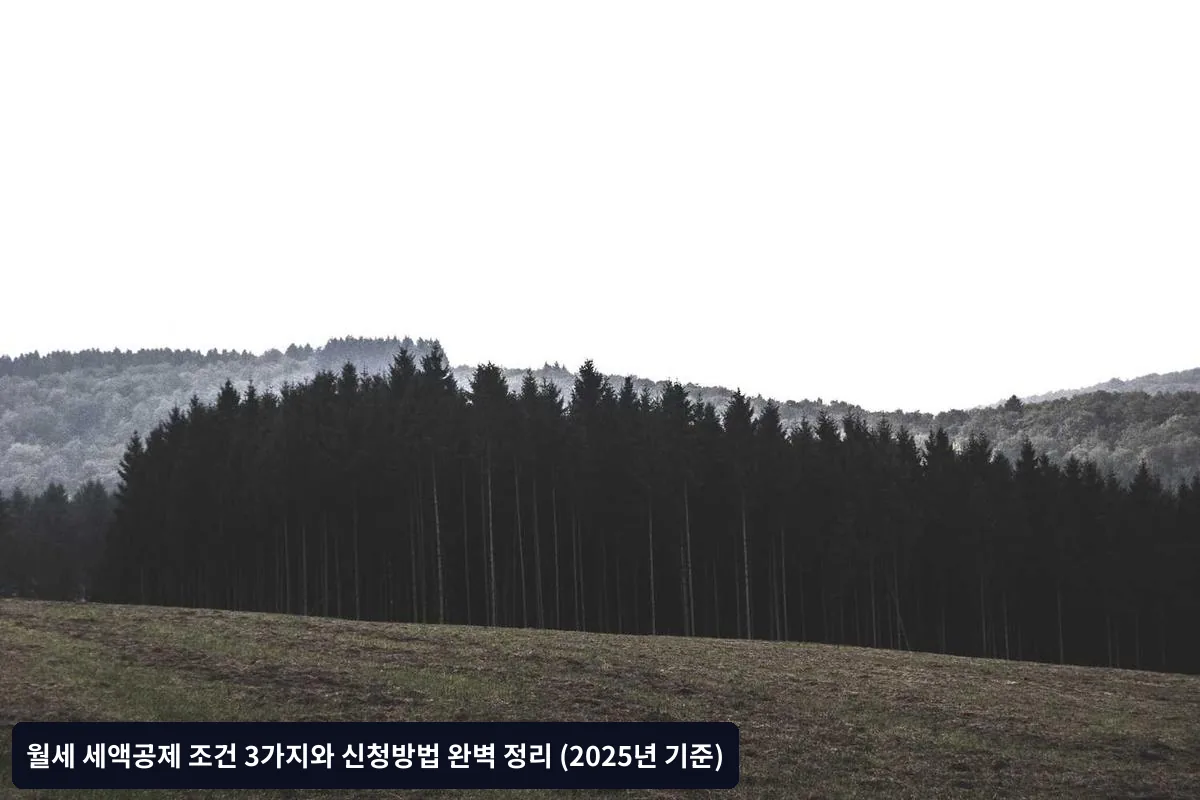 중복 공제 불가 원칙
