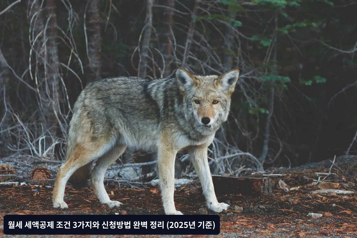 Q2. 부모님 명의 집에 살면서 월세를 내는 경우는?