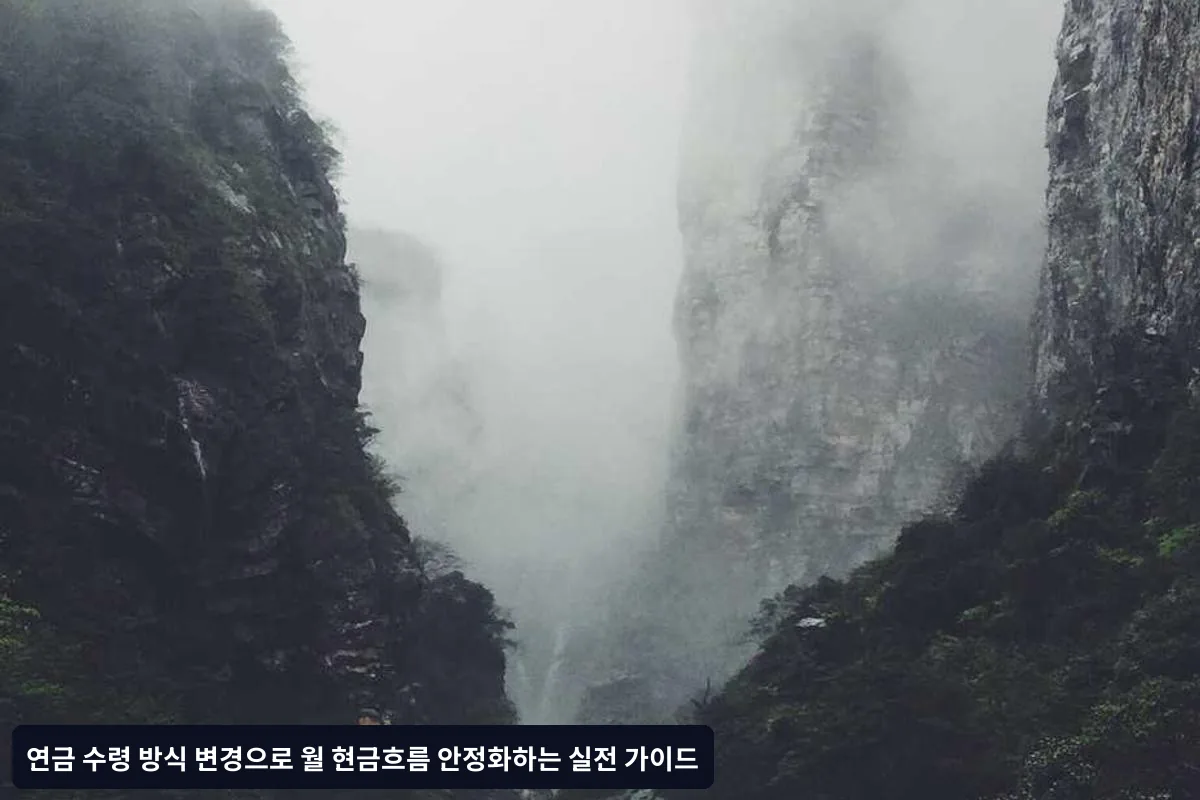 개인 상황별 최적 수령 방식 선택 기준