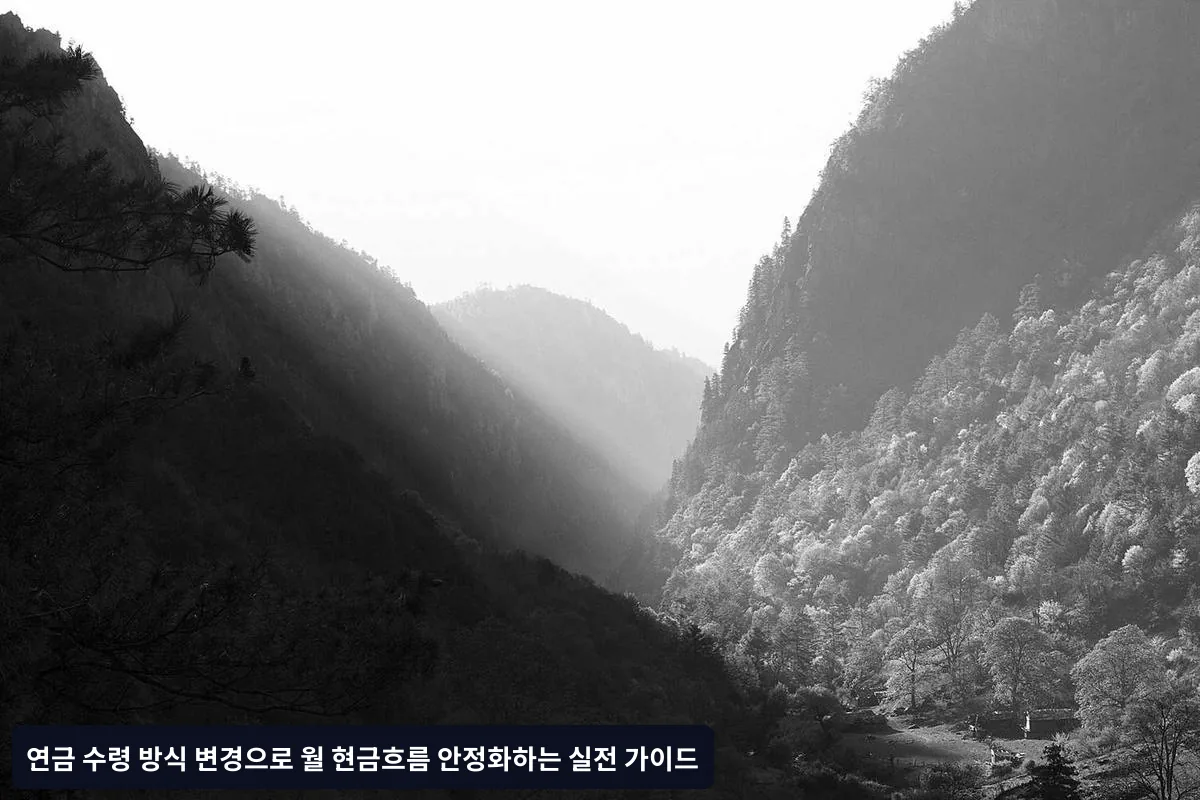 세금 최적화를 고려한 수령 전략