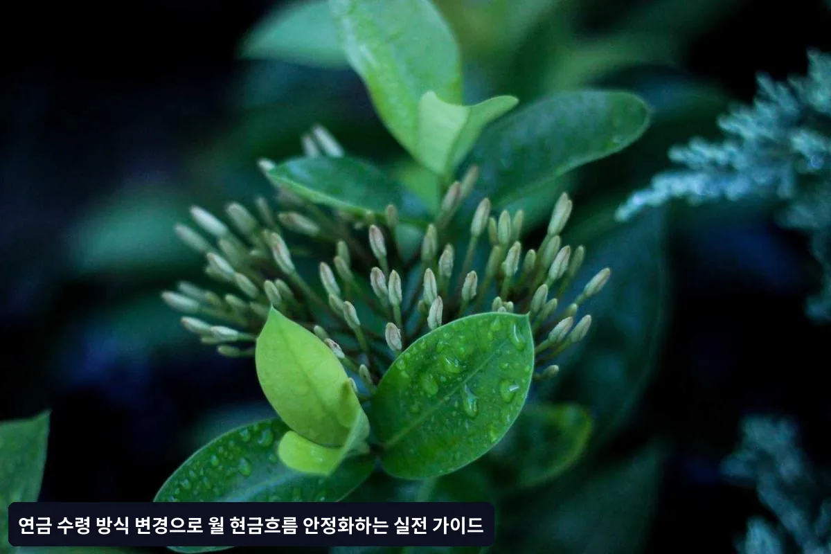 연금 수령 방식 변경 시 주의사항
