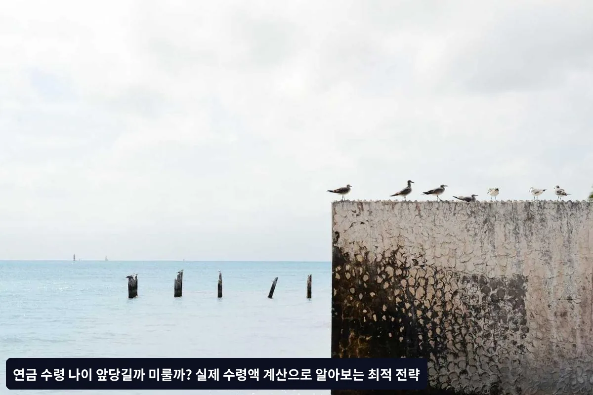 기본 시나리오 설정
