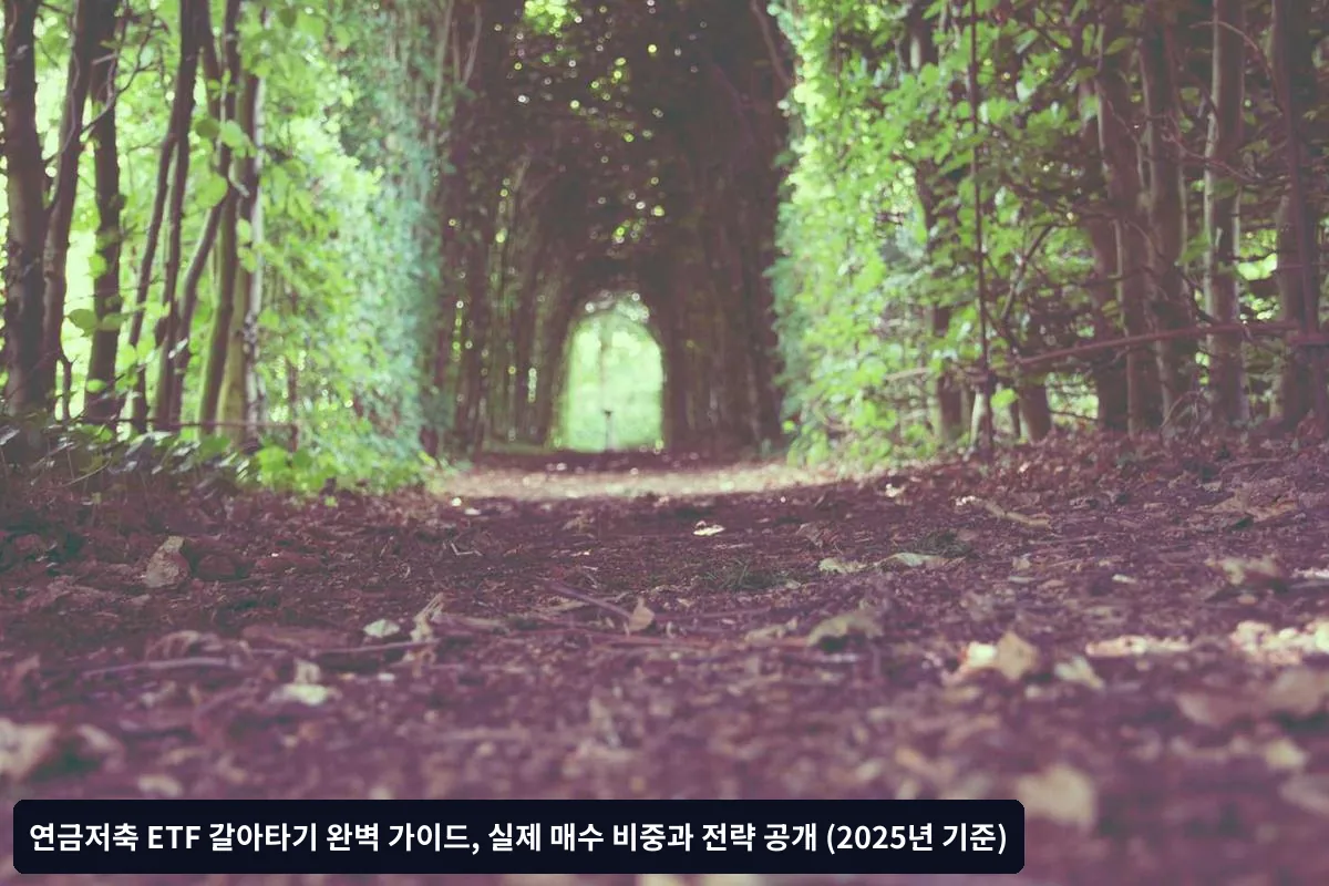 연금저축 ETF 갈아타기 체크리스트