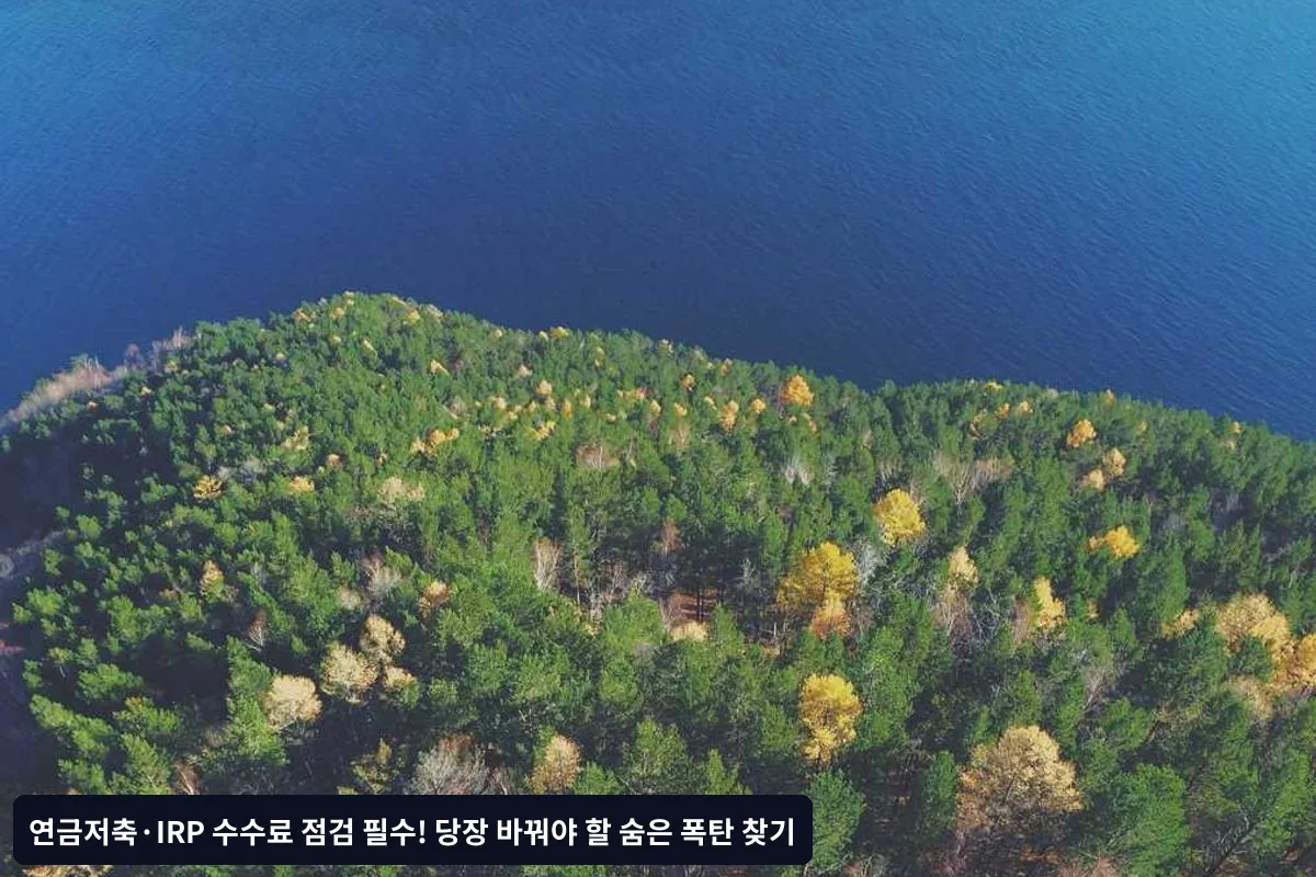 단계별 수수료 절약 실행 방법