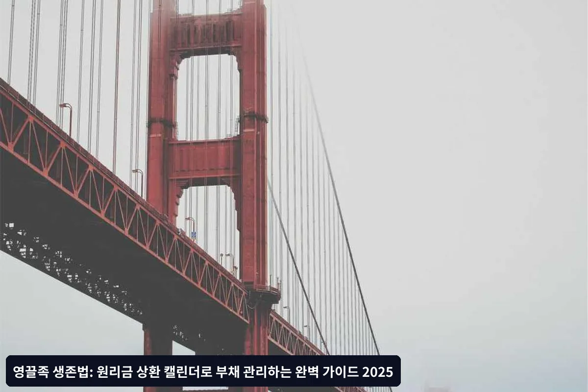 금융기관별 대출 조건 개선 방법