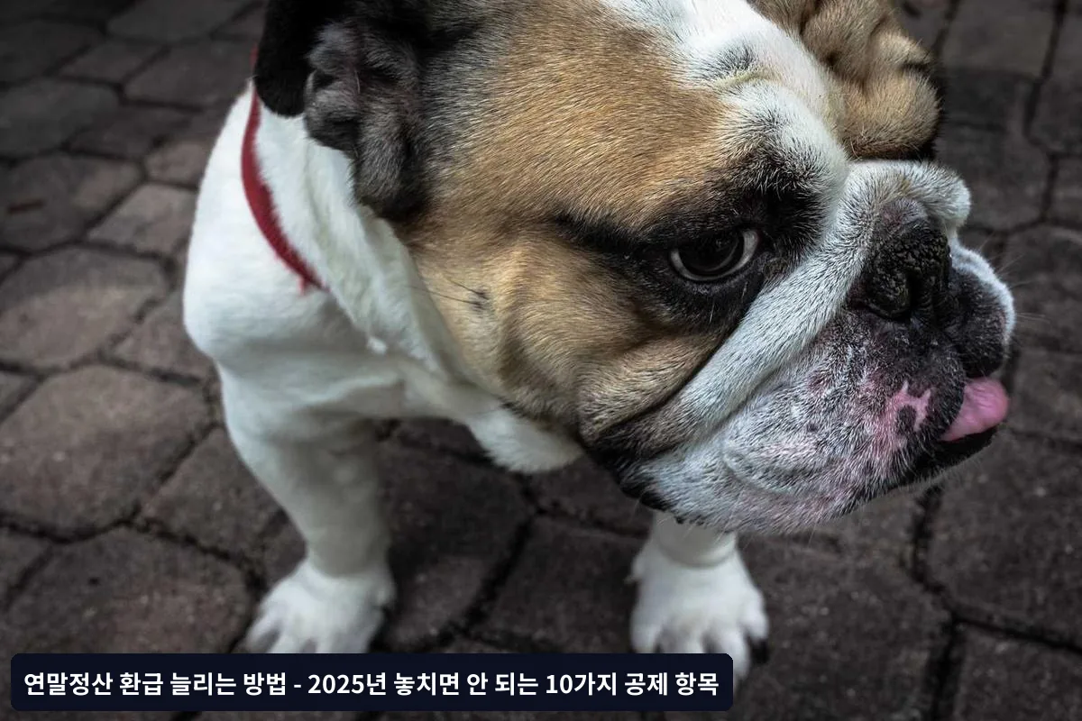 1. 신용카드·체크카드 소득공제 최적화