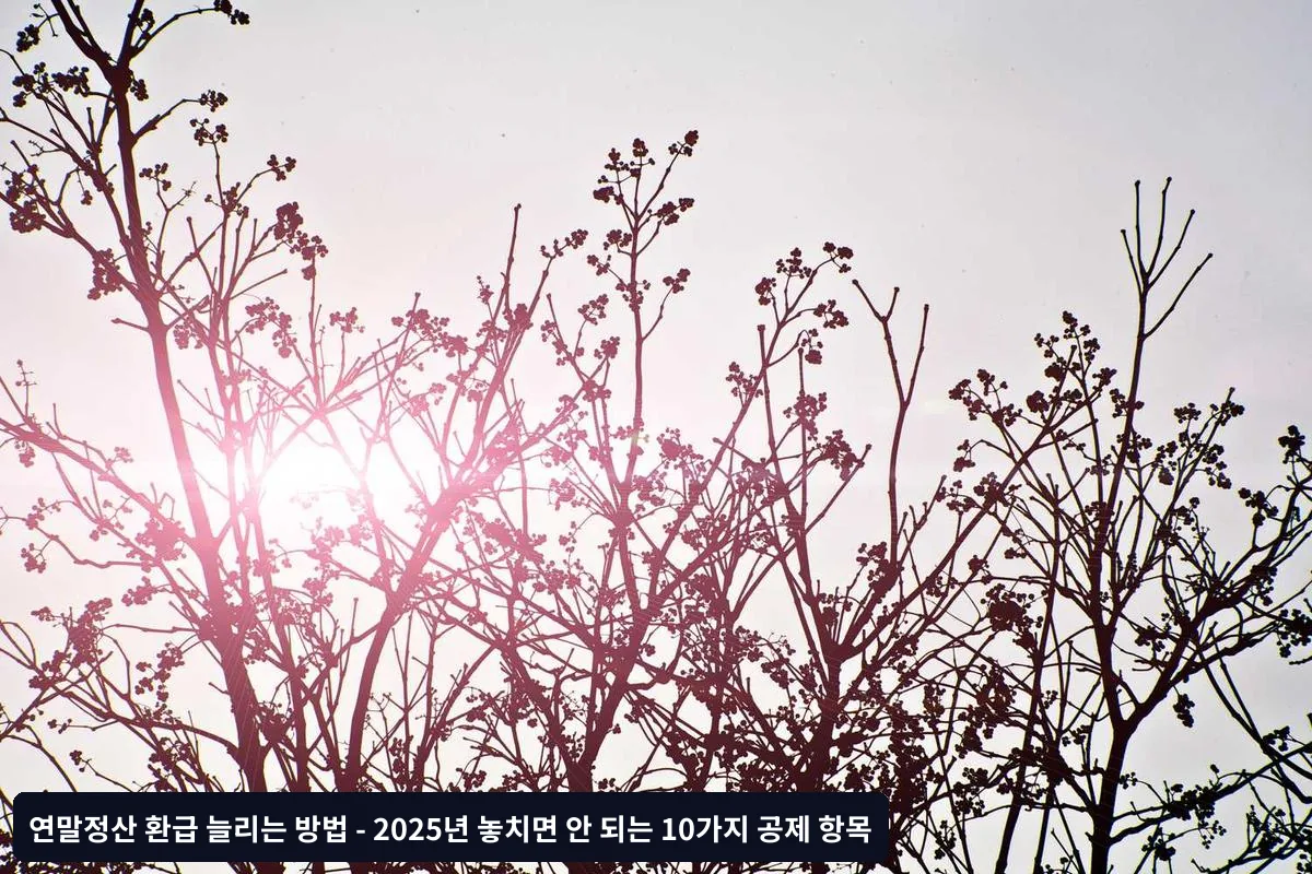 가족 간 공제 최적화