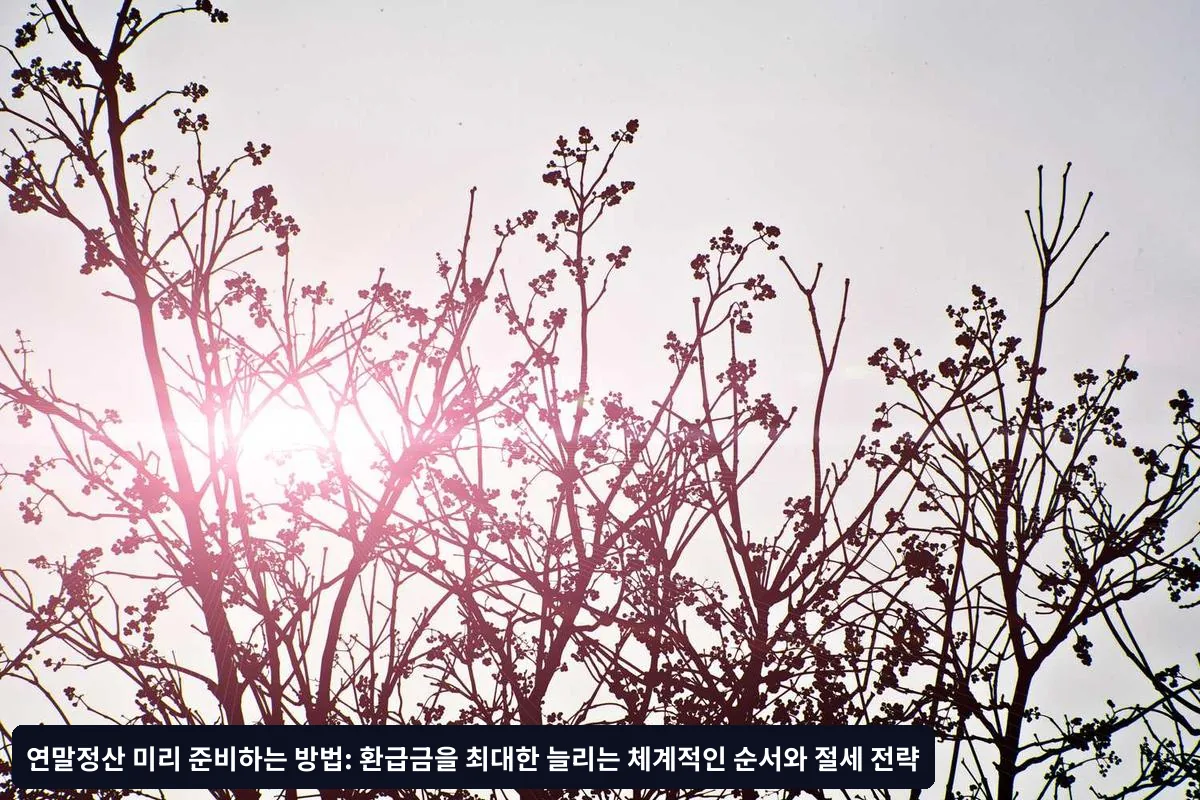 3단계: 세액공제 서류 준비 (12월 초)
