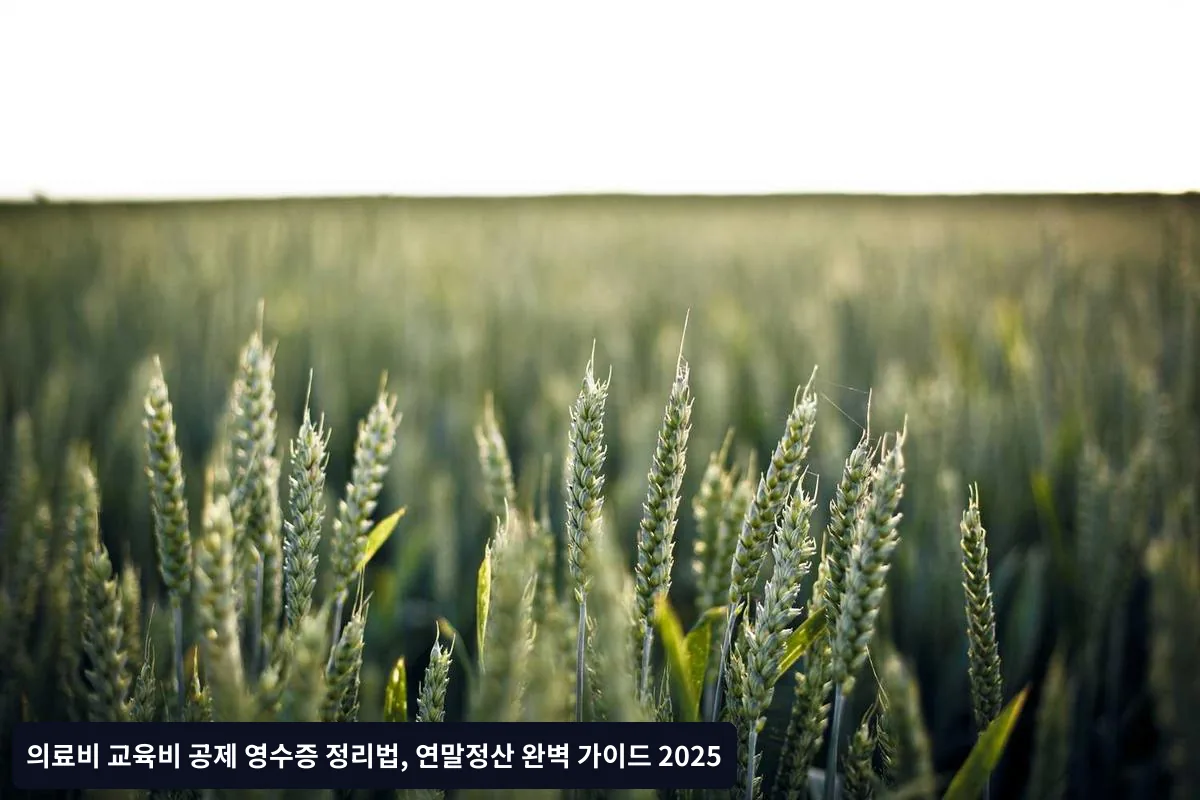 자주 묻는 질문 (FAQ)
