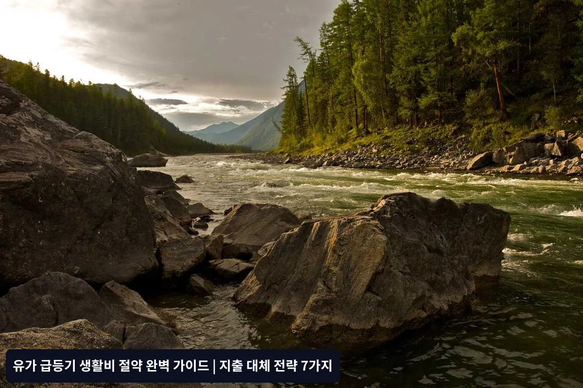 가격 상승에 대응하는 장보기 전략