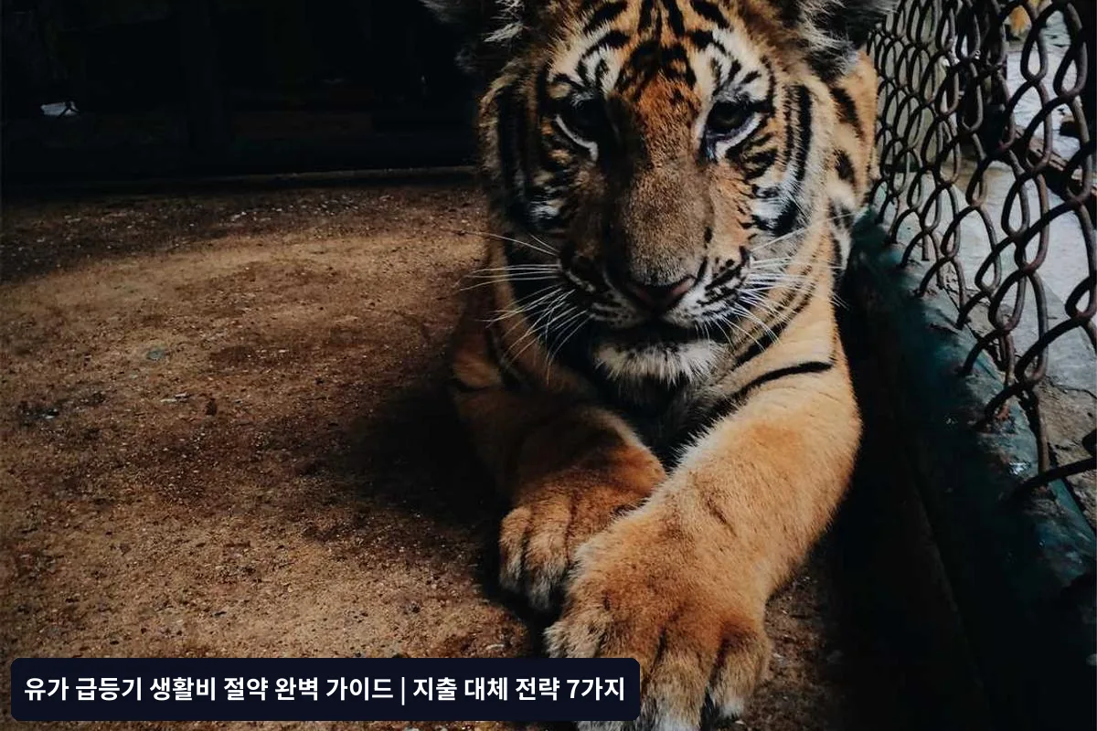즉시 실행 가능한 절약 항목 (1주일 내)