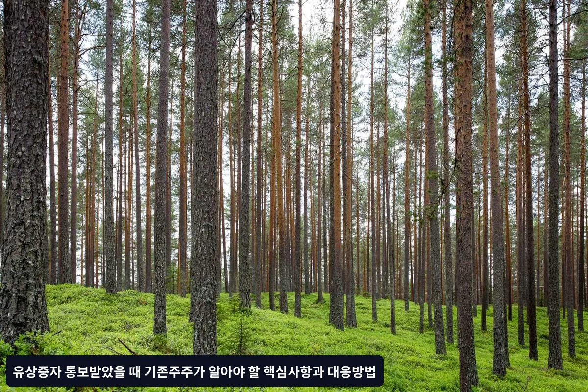 실제 거래 가격과의 차이